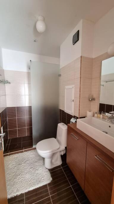 Bh & Semiramida Ski Apartment ボロヴェッツ エクステリア 写真