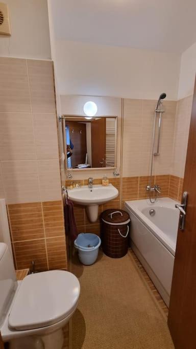 Bh & Semiramida Ski Apartment ボロヴェッツ エクステリア 写真