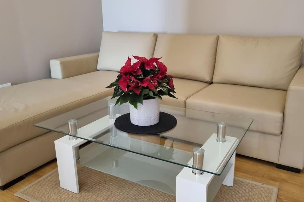 Bh & Semiramida Ski Apartment ボロヴェッツ エクステリア 写真